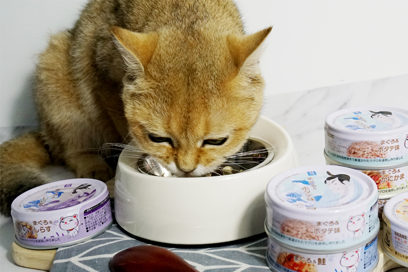 Best Complementary Cat Food Brand: Akane Wet Food